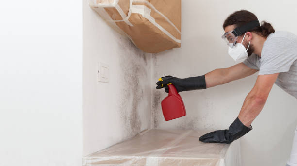 Professional Crawl Space Mold Removal technician working in Beaverton, MI